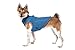 Gooby Sports Vest Dog Jacket - Blue, Medium - Reflective Dog Vest with D Ring Leash - Warm Fleece Lined Small Dog Sweater, Hook and Loop Closure - Dog Clothes for Small Dogs Boy or Girl Dog Sweater