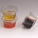 Zicome 2-Ounce Plastic Disposable Portion Cups Souffle Cups with Lids for Shots, Salad Dressings, Sauces, 100 Counts