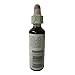 Bach Original Flower Remedies, White Chestnut - Calm The Mind - Natural Homeopathic Flower Essence for Emotional Balance - Vegan, Gluten Free, Sugar Free - 20mL Dropper