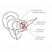 SpinFit CP800 for Thin IEM Nozzle - L - Patented Silicone Eartips for Replacement (2 Pairs) (for Nozzle diamter from 3-3.5mm)