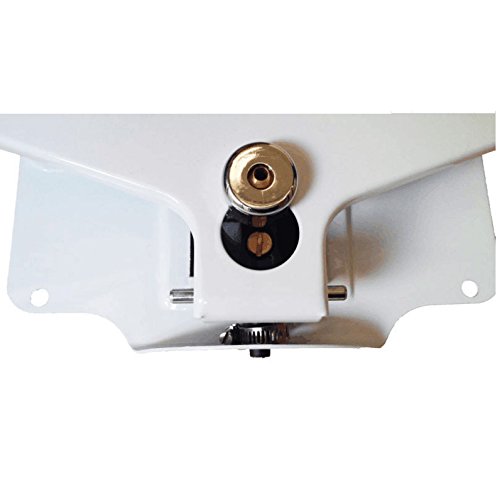 dog foot pedal water fountain