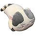 TOWSIX Soft Cat Animal Pillow Cute Big Hugging Pillow Stuffed Kitten Throw Pillow Baby Kids Sleeping Pillow Kitty Stuffed Toy Cuddle Stuffed Animal Gift for Adult Girlfriend 23.5” (Gray)