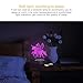 AmazeFan Unicorn Night Light - 3D Unicorn Lamp 7 Colors Optical Illusion Touch & Remote Control - Best Birthday Christmas New Year Gifts for Girls Kids Baby(Unicorn, Fairy)