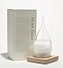Storm Glass, Large | Weather Predicting Storm Glass, Glass Forecast Barometer | Desk Decor by Average Gents | Size: 4.5