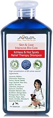 private breeder puppies near me