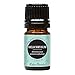 Helichrysum- gymnocephalum Essential Oil (100% Pure, Undiluted Therapeutic/Best Grade) High Quality Premium Aromatherapy Oils by Edens Garden- 5 ml