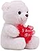 Ritmika Stuffed Teddy Bear Plush LED Toy with I Love You Heart Pillow, White 12