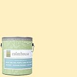 Inspired Eggshell Interior Paint, Grain .01, Gallon