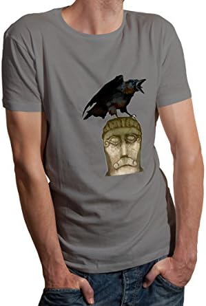 Canonon men 's Cotton Funny Graphic Crewneck Short Sleeve T-shirt Grey XL