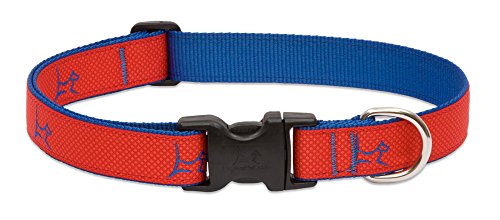 LupinePet Club 1" Derby Red 16-28" Adjustable Collar for Large Dogs