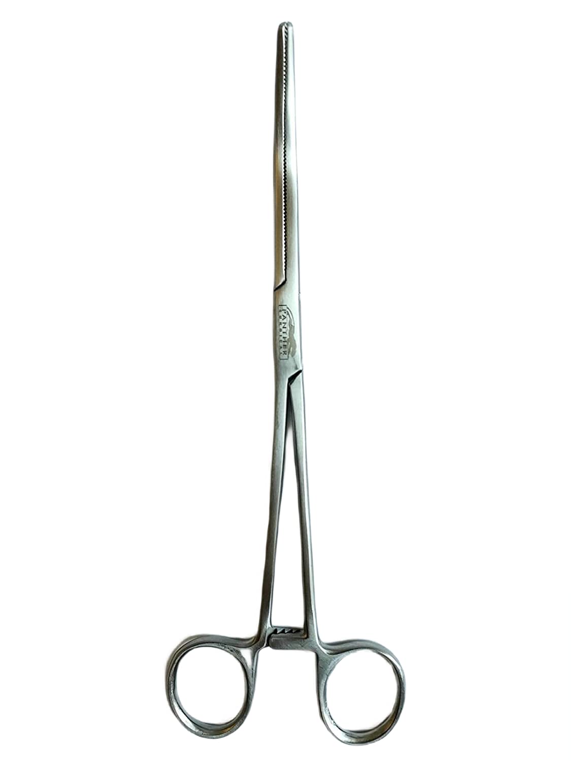 Panther Surgical Stainless Steel Piercing long nose pliers Unhooking Fish Remover 10'' Curved Fishing Pliers Forceps For Fly Sea Carp Fishing (Curved, 10'')