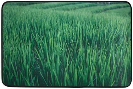 LINGVYTE Carpet Grass Field Green Doormat Indoor Outdoor EntranceFloor Mat Bathroom 23.6 X 15.7 Inch