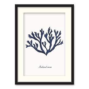 NWT Black Paper Framed Canvas Wall Art for...