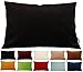 TangDepot Solid Velvet Throw Pillow Cover/Euro Sham/Cushion Sham, Super Luxury Soft Pillow Cases, Many Color & Size Options - (12"x18", Black) primary