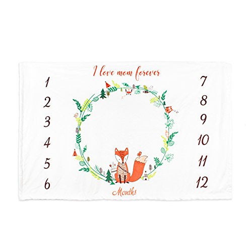 Boritar Baby Milestone Receiving Blanket Newborn Monthly Photography Background Super Soft with Double Layer Minky Dotted, Lovely Fox Printed 30"x47"(75x120cm) - Thumbnail 6