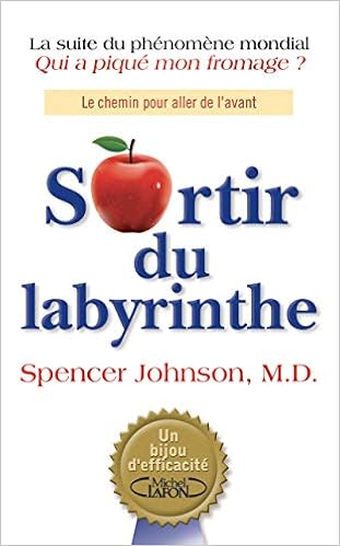 couverture de : Sortir du labyrinthe