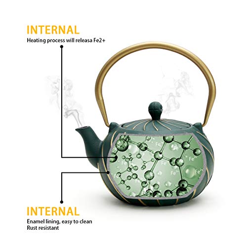 Tea Kettle, TOPTIER Japanese Cast Iron Teapot with Infuser, Stovetop Safe Cast Iron Tea Kettle