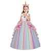 HOIZOSG Meisjes Eenhoorn Verjaardagskostuum Prinses Tule Jurk Mouwloos Halloween Carnaval Kerstfeest Bruiloft Pageant…