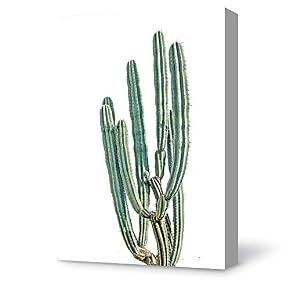 Plant Succulents Plant Office Painting Wall Poster Decor...