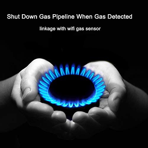 Haozee WiFi Smart Water Valve Shutoff Tuya App Smart Home Automation Control Valve for Gas Work with Alexa Google Assistant IFTTT