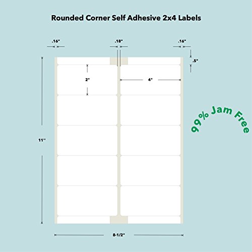 PACKZON Shiipping Labels for Laser & Inkjet Printers, with Self Adhesive 2 x 4 Inch (1,000 Labels / 100 Sheets)
