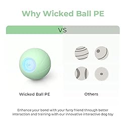 [3 Interactive Modes] Cheerble Intelligent