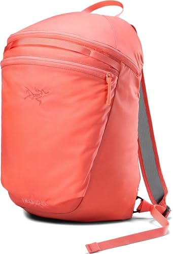 Amazon.com: Arc'teryx Blade 20 Backpack Black One Size : Electronics