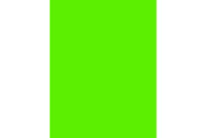 NextDayLabels - 8-1/2 x 11 Neon Color High Light Fluorescent Labels for Laser & Inkjet Printer (Green Fluorescent, 8.5" x 11" - 1 Per Page | 25 Labels)