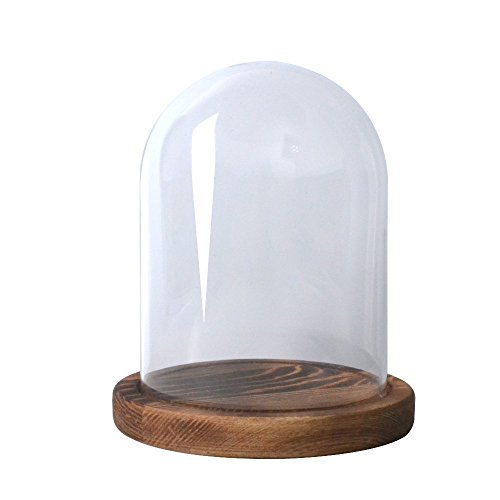 Reelva Decorative Clear Glass Cloche Bell Jar Display Case (D11H15cm) - Thumbnail 6