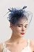 Cizoe Fascinators Hats 20s 50s Hat Pillbox Hat Cocktail Tea Party Headwear with Veil for Girls and Women(D-navy)