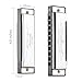 Anwenk Harmonica Key of C 10 Hole 20 Tone Diatonic Harmonica C with Case for Beginner, Christmas Gift
