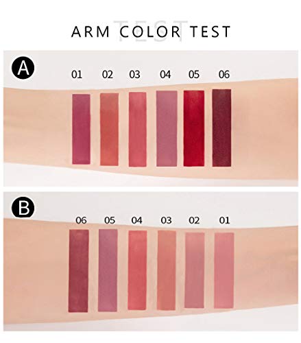 6Pcs Matte Liquid Lipstick Makeup Set, Matte liquid Long-Lasting Wear Non-Stick Cup Not Fade Waterproof Lip Gloss (Set B)
