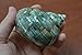 Polished Green Jade Turbo Hermit Crab Sea Shell 3