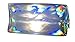 Silver Holographic Cosmetic Bag (Silver)