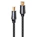 Pangea Audio Premier SE USB Cable (1 Meter)