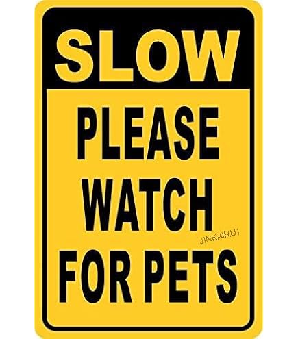 thumbnail image 2 of Set Of 3 Double-Sided "Slow Down Cat Crossing" Yard Signs - 12x16", Plastic With Metal H-Stakes 2 of 9