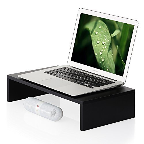 FITUEYES Computer monitor riser 16.7 inch Monitor Stand Save Space DT104201WB