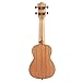 Donner Soprano Ukulele 21 inch，Beginners Ukulele for Adult，Satin Mahogany & Starter Kit - Online Lesson，Gig Bag，Strap Nylon Strin Tuner Picks Cloth Ukalalee Set DUS-3