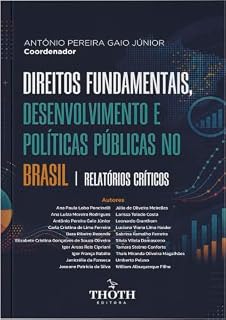 Livro Direitos fundamentais, Desenvolvimento e Políticas Públicas no Brasil: Relatórios Críticos