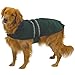 Casual Canine Fleece-Lined Reflective Dog Jacket for Safety