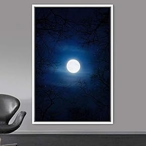 signwin Framed Canvas Wall Art Moon Astronomy &...
