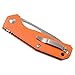 Kizer Title Cutlery Kesmec Kim and AZO Vanguard VG10 G10 Orange Knife (V4461A2), Black