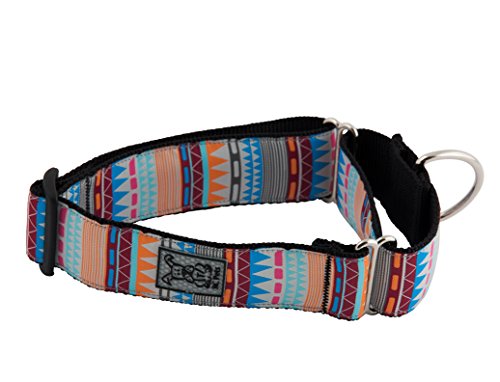 RC Pet Products 1 1/2" All Webbing Martingale Dog Collar, Large, Fringe