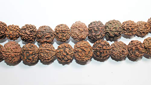 IndianStore4All-Certified-Nepali-5-Mukhi-Face-Panchmukhi-Bigger-Size-Rudraksha-Japa-Mala-Necklaces-108-1-Sumeru-Good-for-PujaYoga-Meditation