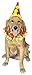 Rubie's Clown Pet Costume Collar & Hat