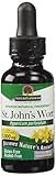 Nature's Answer St. John's Wort, Alcohol Free, Fluid Extract (1:1), 1 Fluid Ounces (30 ml) (Pack of 1)