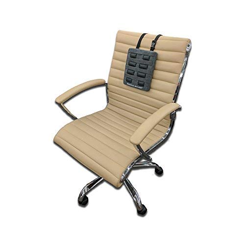 Gokhale Method Stretchsit Cushion Lumbar Support Backrest