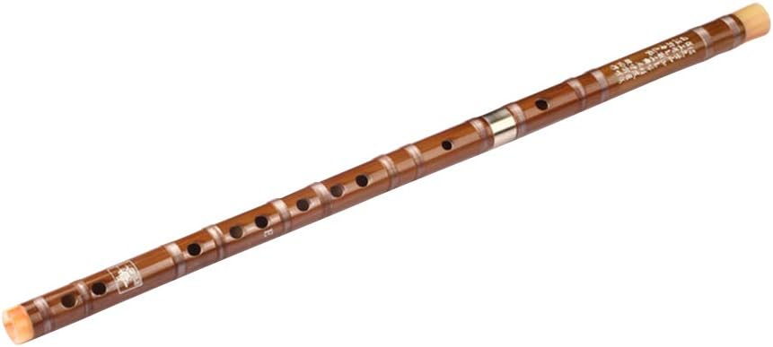 Cshopping Dizi Bamboo Flute, D Key, Traditional Chinese Musical Instrument, Professional Bitter Bamboo Flute for Beginner Level, with Protector Set