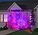 Gemmy Outdoor LightShow Spot Light - Fire & Ice (Purple) - 2 Pack (1)