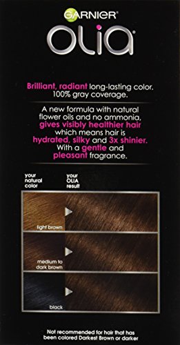 Garnier Olia Ammonia Free Brilliant Color Oil Rich Permanent Hair Color 1 0 Black Pack Of 2 Black Hair Dye Pricepulse